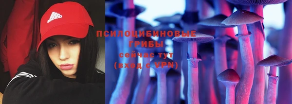 стафф Алексеевка