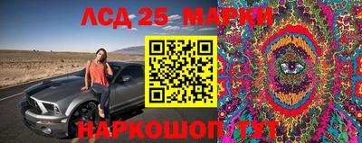 прущие грибы Гатчина