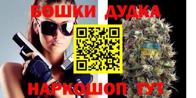 прущие грибы Гатчина