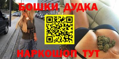 прущие грибы Гатчина