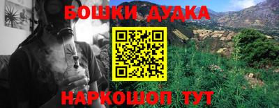 ALPHA PVP Гай