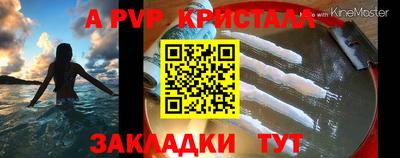ALPHA PVP Гай