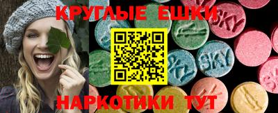 ALPHA PVP Гай
