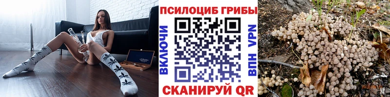 Псилоцибиновые грибы Psilocybine cubensis  Кингисепп 