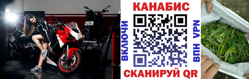 Марихуана планчик  Кингисепп 